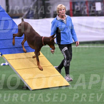 Derby-Carol-Moore-16387