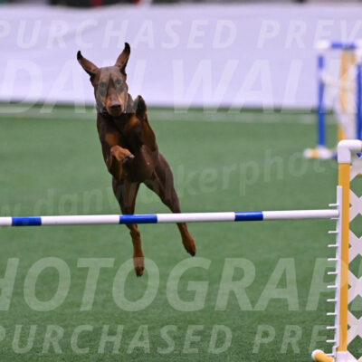 Derby-Carol-Moore-16393