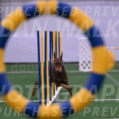 Derby-Carol-Moore-16410