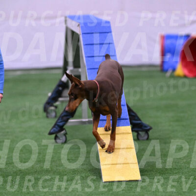 Derby-Carol-Moore-16443