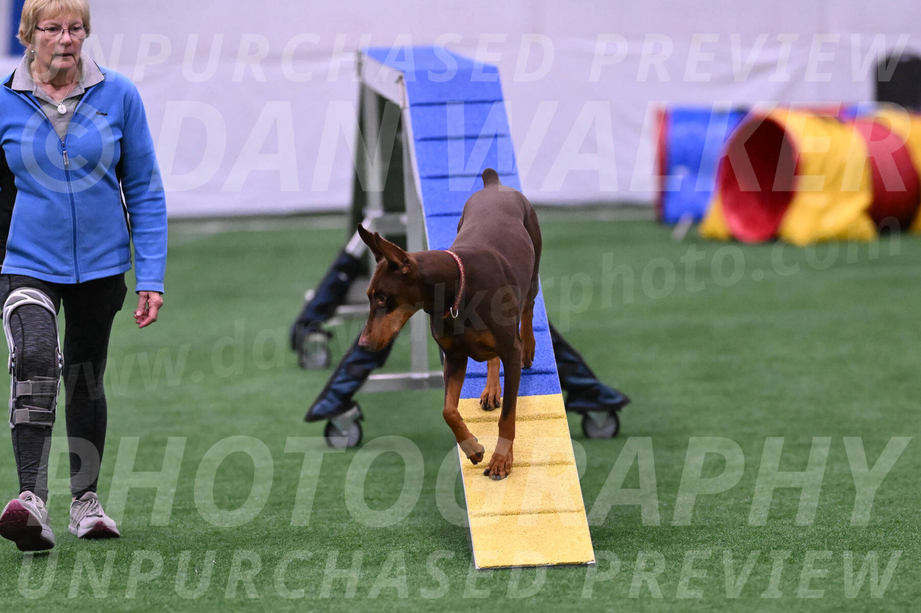 Derby-Carol-Moore-16443