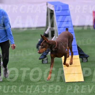 Derby-Carol-Moore-16446