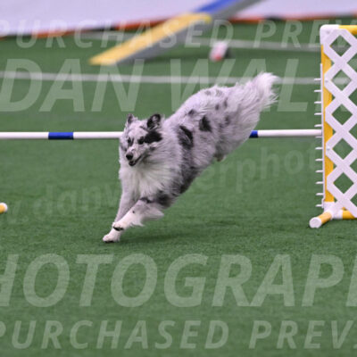 Basil-Cindy-Fink-06357