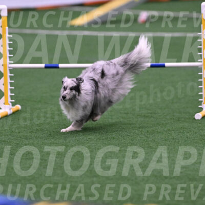 Basil-Cindy-Fink-06358