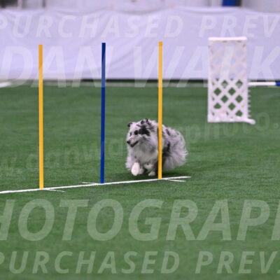 Basil-Cindy-Fink-06368