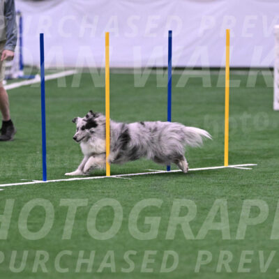 Basil-Cindy-Fink-06372