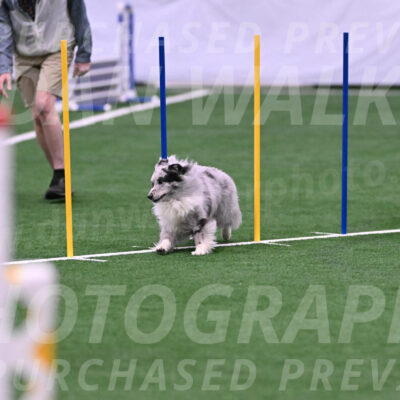 Basil-Cindy-Fink-06375