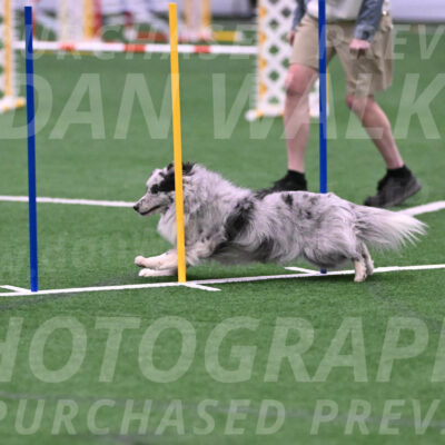 Basil-Cindy-Fink-06382