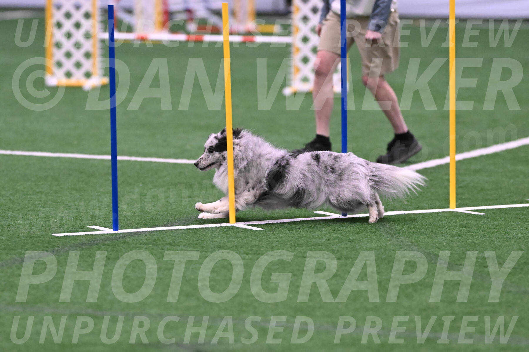 Basil-Cindy-Fink-06382
