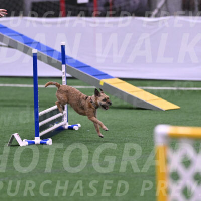 Dusty-Doug-Darrah-04586