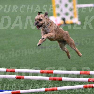 Dusty-Doug-Darrah-04590