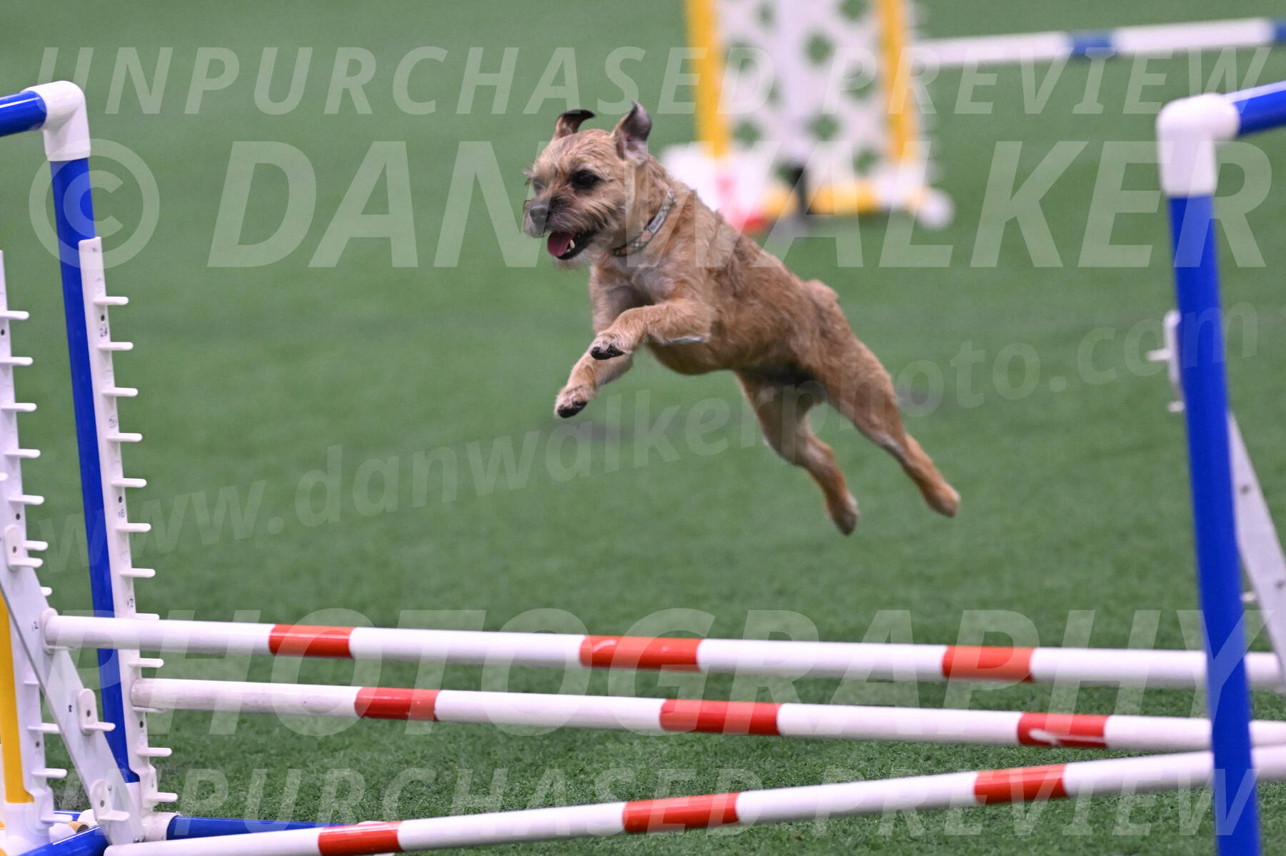 Dusty-Doug-Darrah-04590