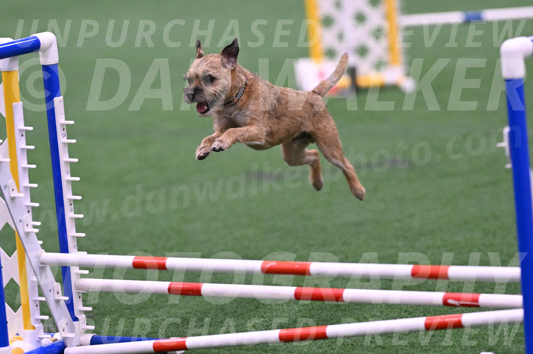 Dusty-Doug-Darrah-04591