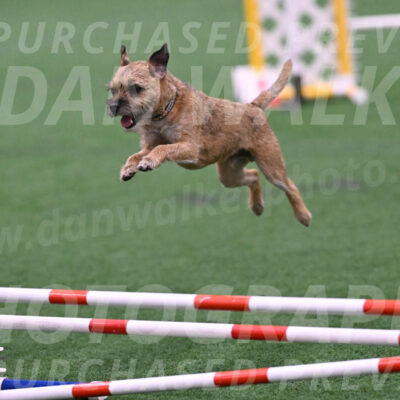 Dusty-Doug-Darrah-04591