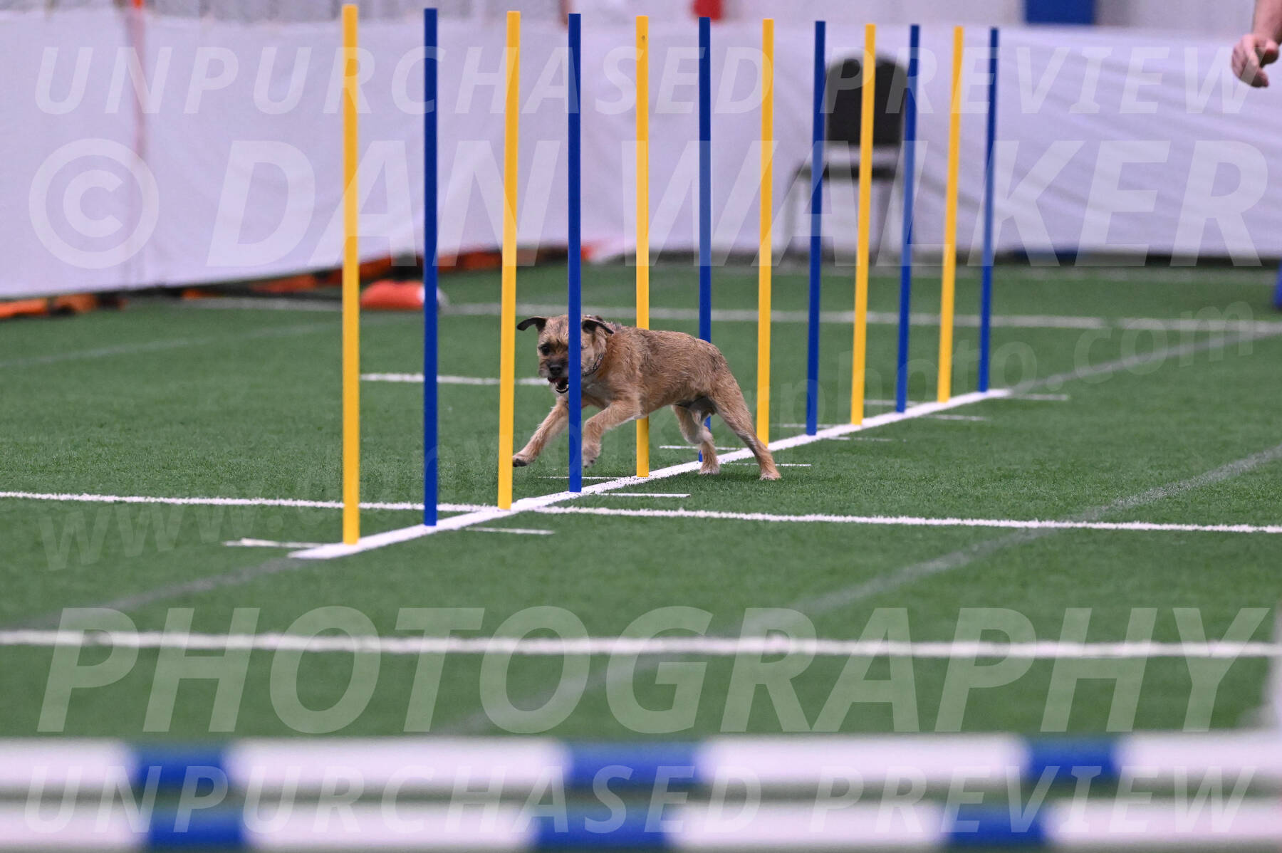 Dusty-Doug-Darrah-04601