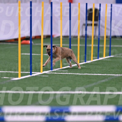 Dusty-Doug-Darrah-04601