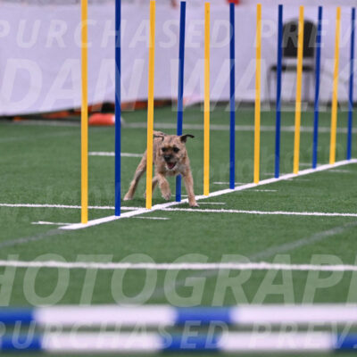 Dusty-Doug-Darrah-04602