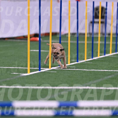 Dusty-Doug-Darrah-04603