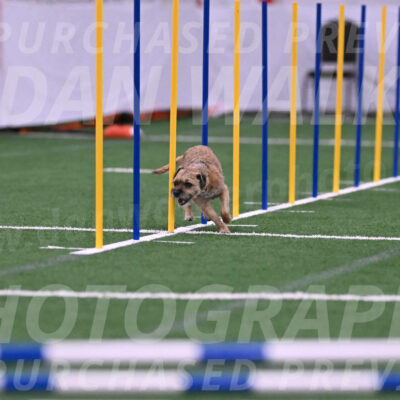Dusty-Doug-Darrah-04604