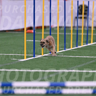 Dusty-Doug-Darrah-04605