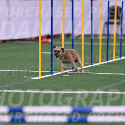 Dusty-Doug-Darrah-04606