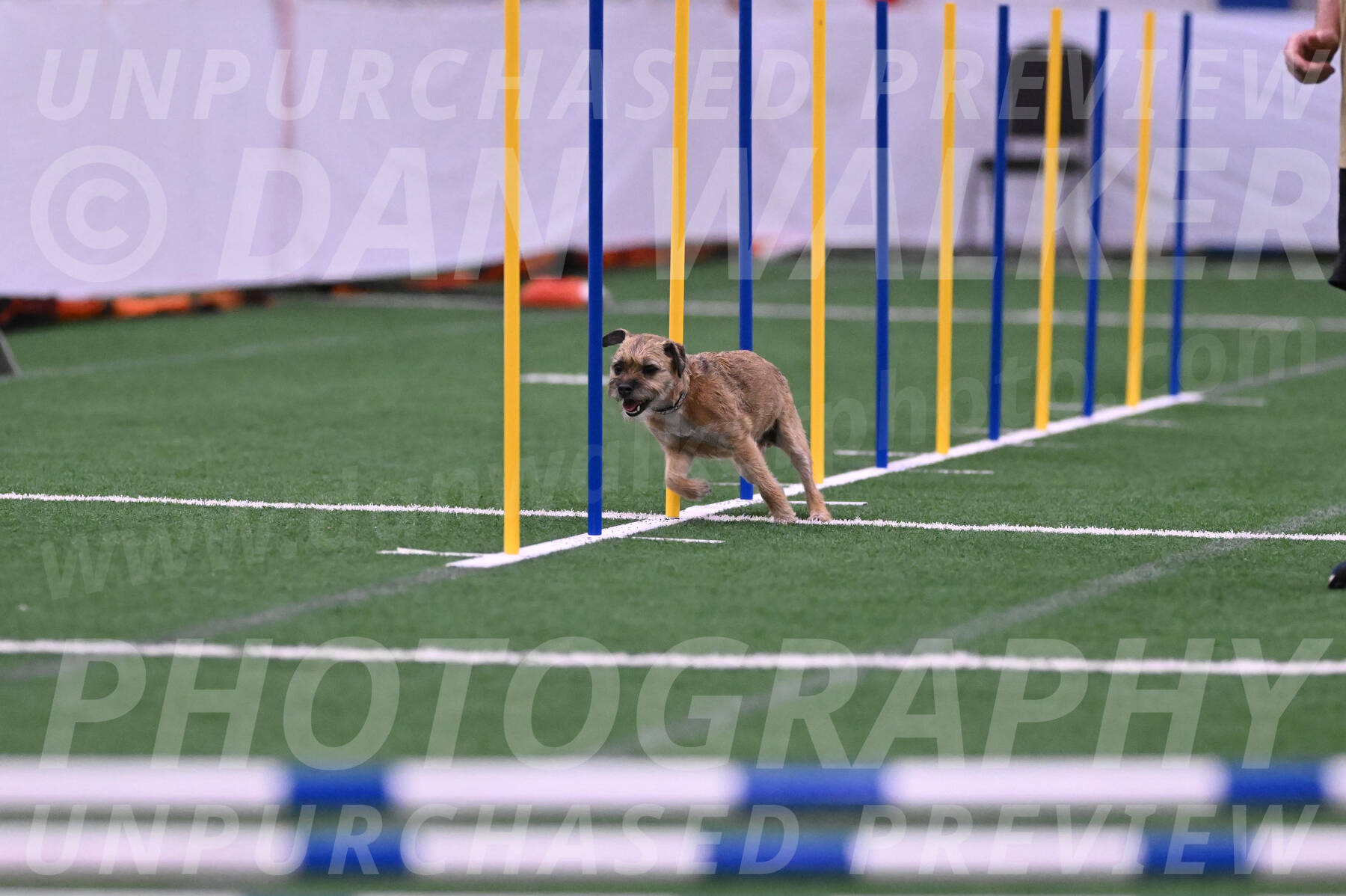 Dusty-Doug-Darrah-04606