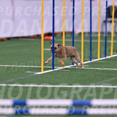 Dusty-Doug-Darrah-04607