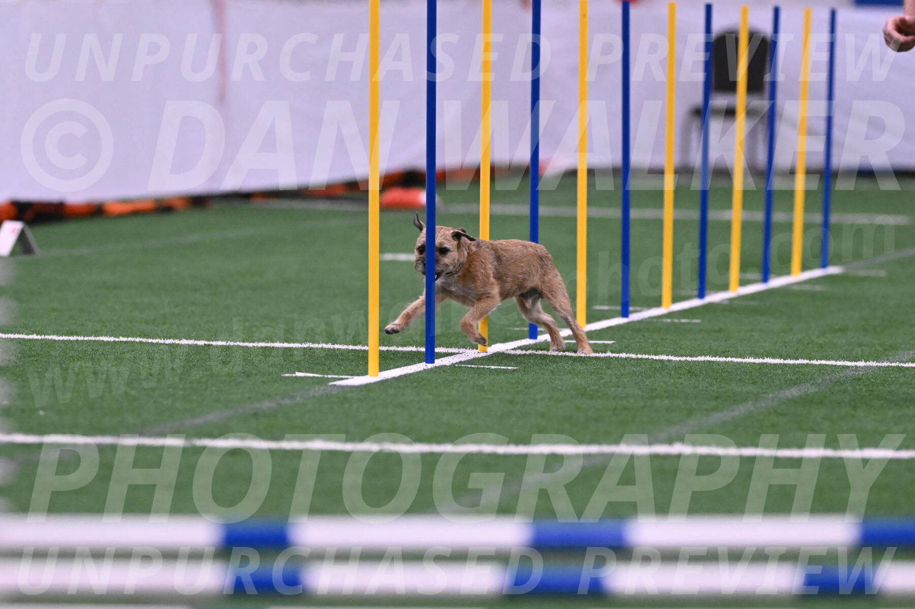 Dusty-Doug-Darrah-04607