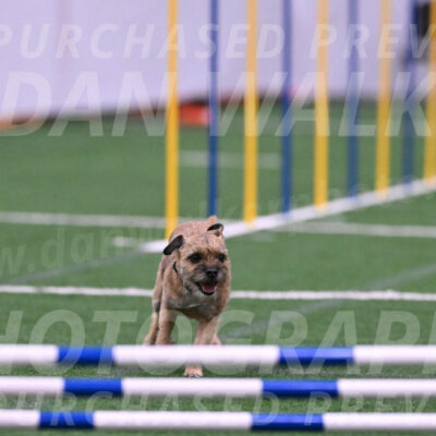 Dusty-Doug-Darrah-04610