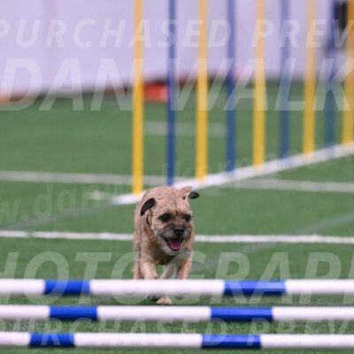 Dusty-Doug-Darrah-04611