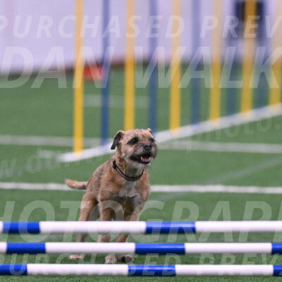 Dusty-Doug-Darrah-04613