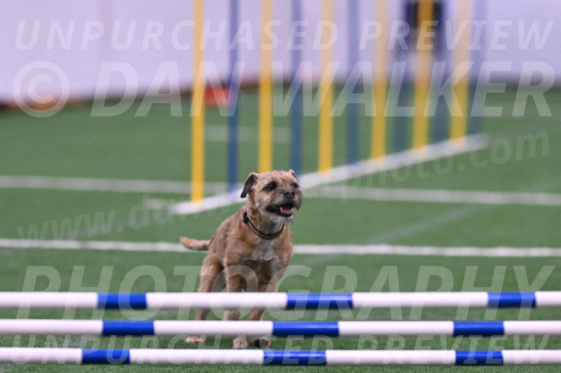 Dusty-Doug-Darrah-04613