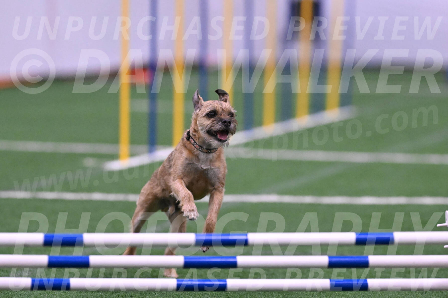 Dusty-Doug-Darrah-04614