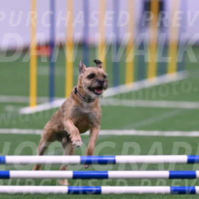 Dusty-Doug-Darrah-04614