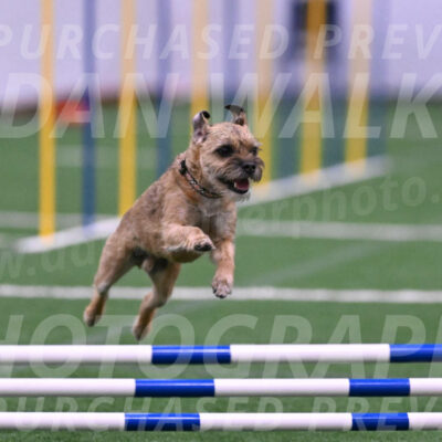 Dusty-Doug-Darrah-04615