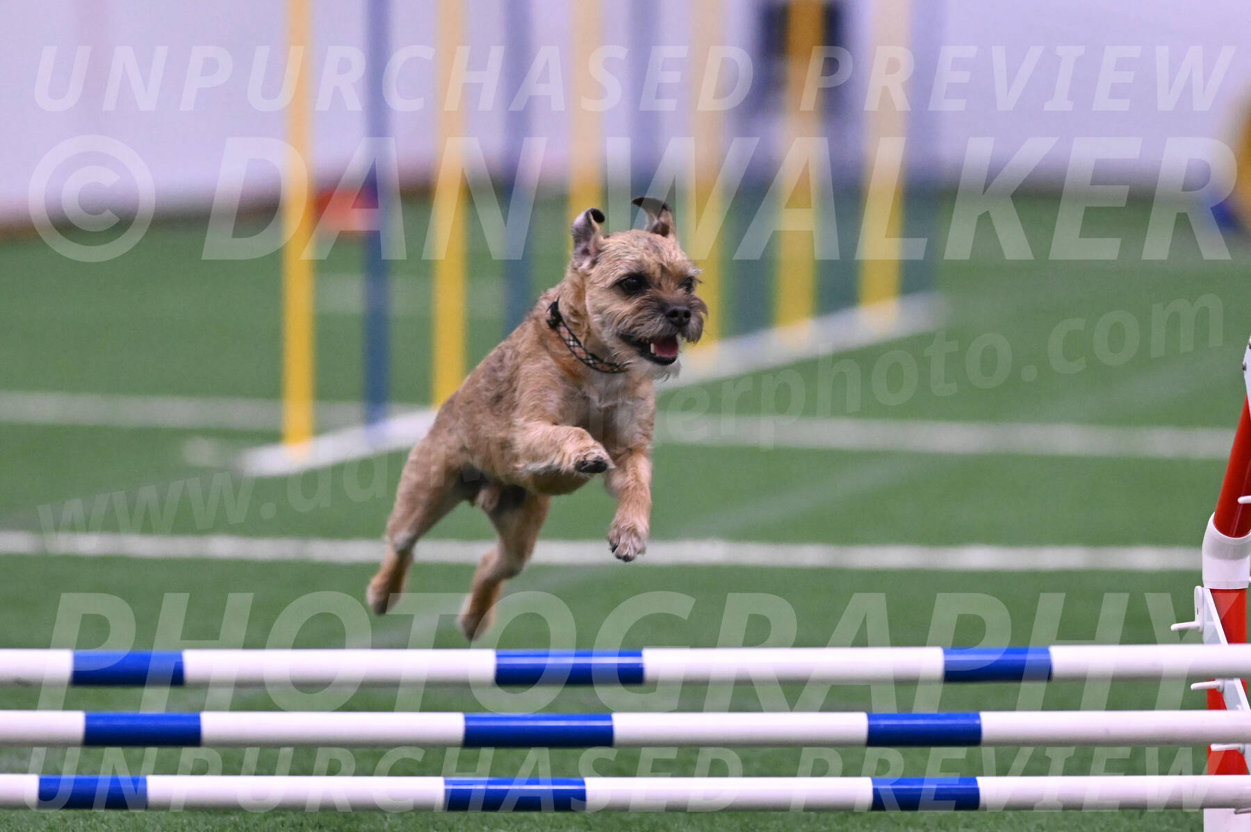 Dusty-Doug-Darrah-04615