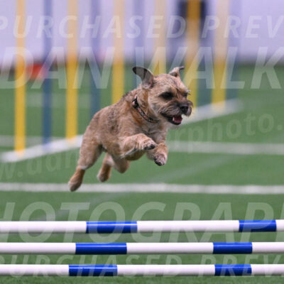 Dusty-Doug-Darrah-04616