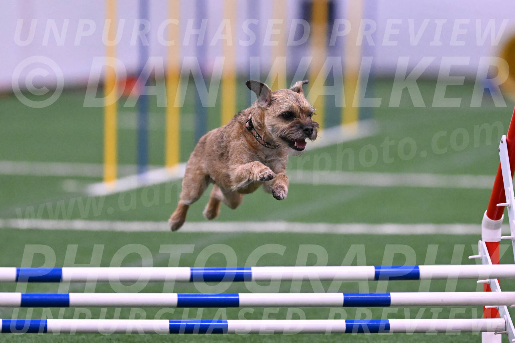 Dusty-Doug-Darrah-04616