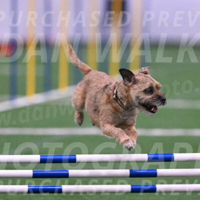 Dusty-Doug-Darrah-04618