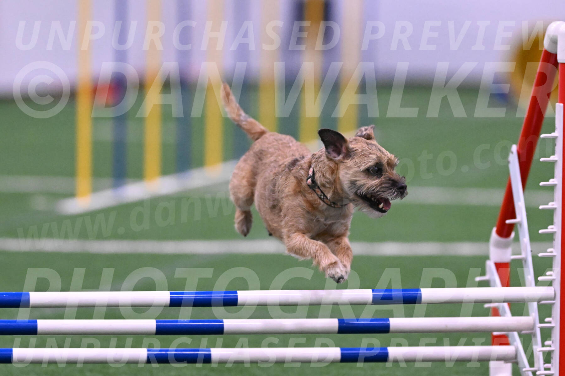 Dusty-Doug-Darrah-04618
