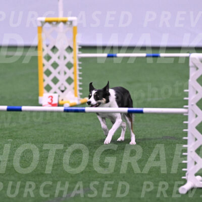 Elsie-Darrell-Bommarito-12452