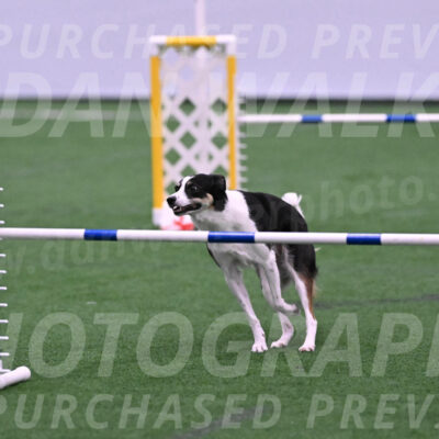 Elsie-Darrell-Bommarito-12454