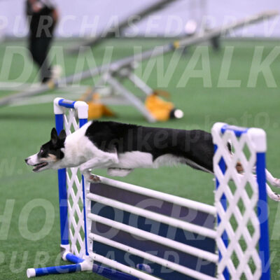 Elsie-Darrell-Bommarito-12483
