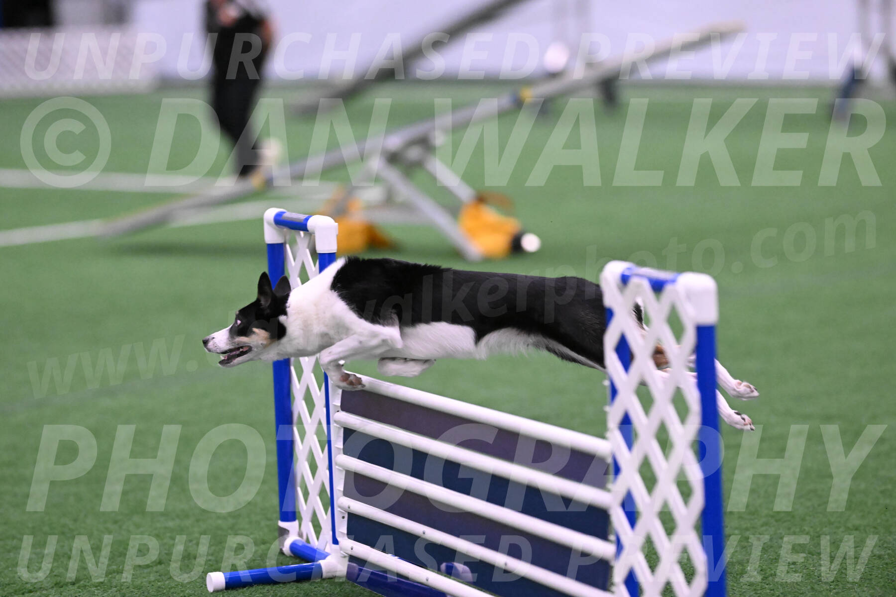 Elsie-Darrell-Bommarito-12483