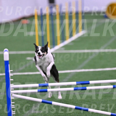 Elsie-Darrell-Bommarito-12496