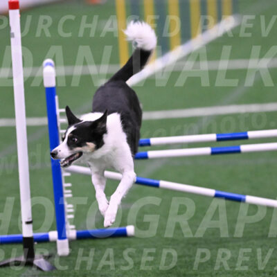 Elsie-Darrell-Bommarito-12500