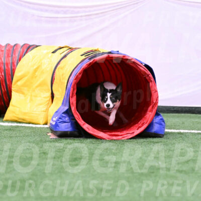 Elsie-Darrell-Bommarito-12504