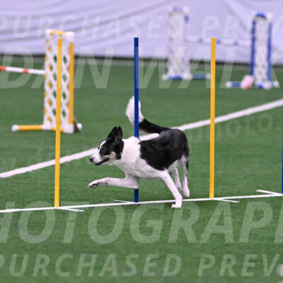 Elsie-Darrell-Bommarito-12560