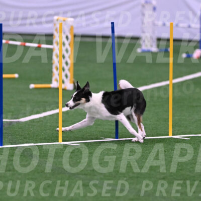Elsie-Darrell-Bommarito-12561