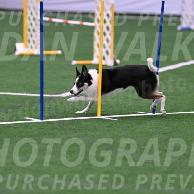 Elsie-Darrell-Bommarito-12563